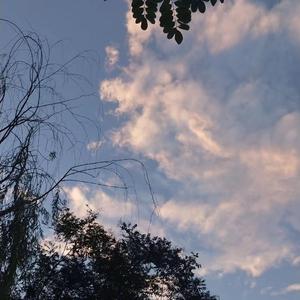 动漫妓女巨大吸乳裸身视频
